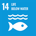 保护和可持续利用海洋和海洋资源以促进可持续发展